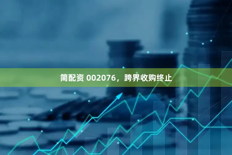 简配资 002076，跨界收购终止
