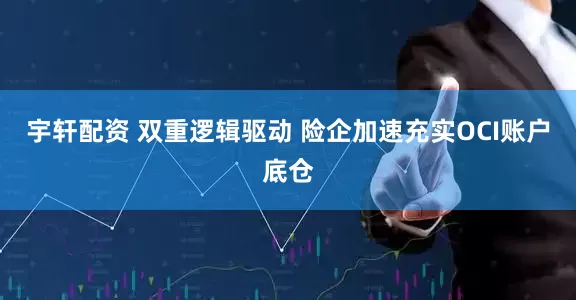 宇轩配资 双重逻辑驱动 险企加速充实OCI账户底仓